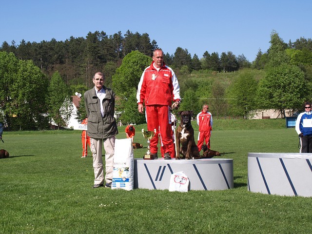 www.atibox.net * www.euroboxer.eu * www.boxergenealogia.eu